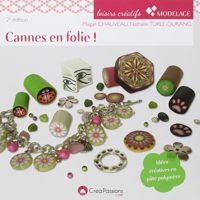 Livre Fimo - Cannes en folie de Magali Chauveau